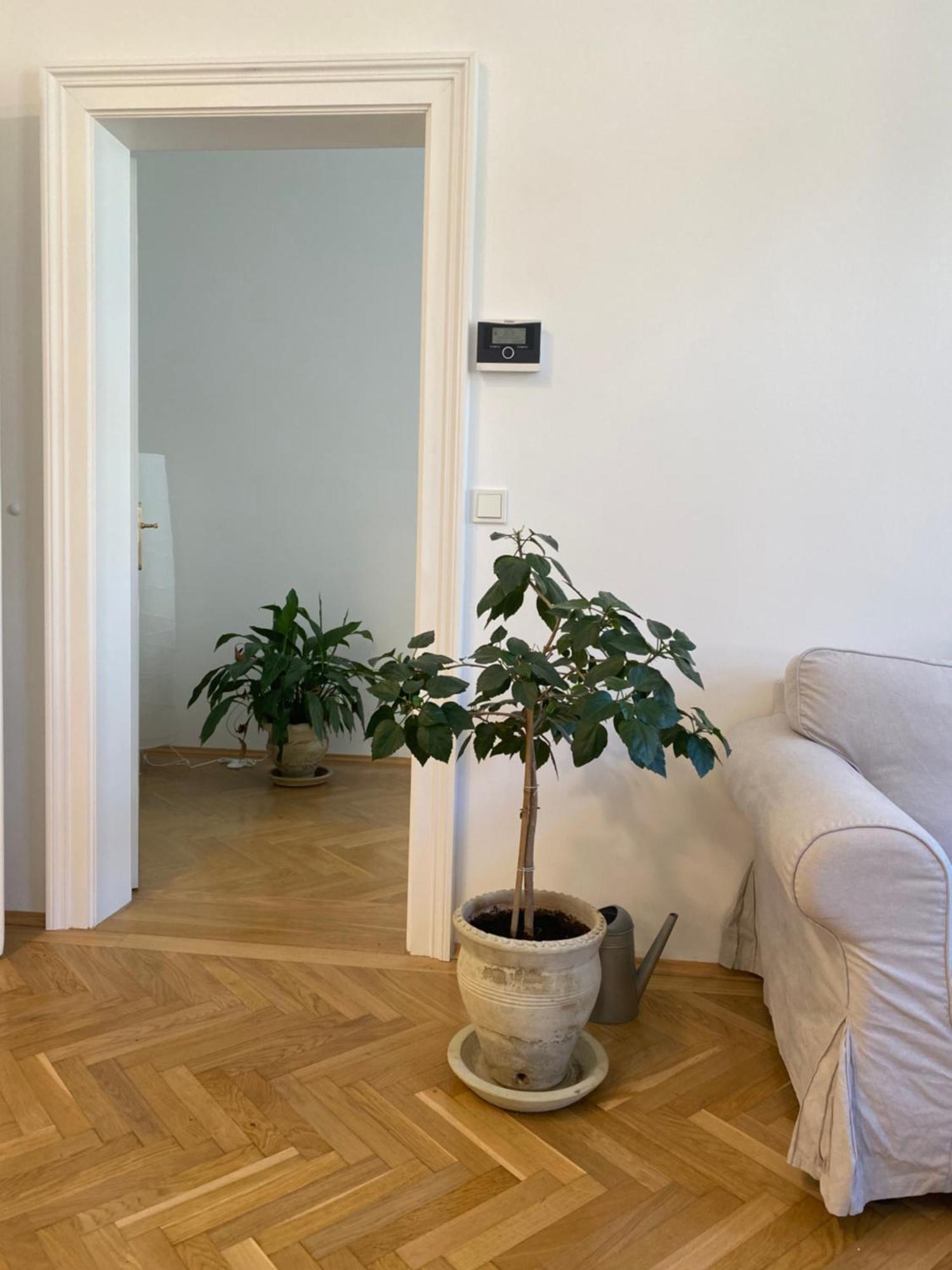 Dream Of Ottakring Apartment